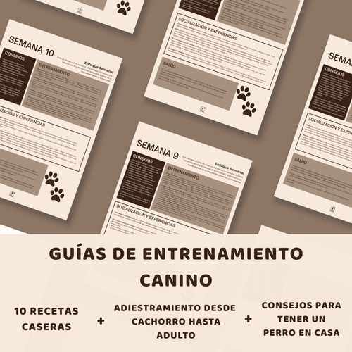 Anuncio de plantillas profesionales