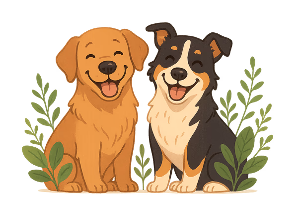 Perro y gato jugando juntos