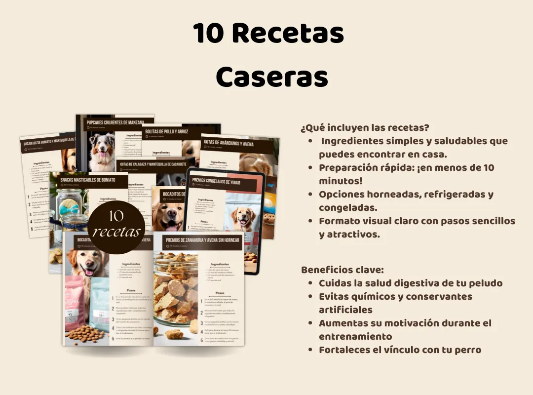 Libro de recetas caseras para perros