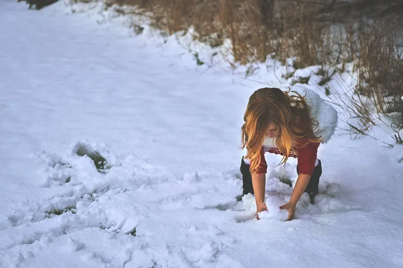 labrador retriever doing daily exercise