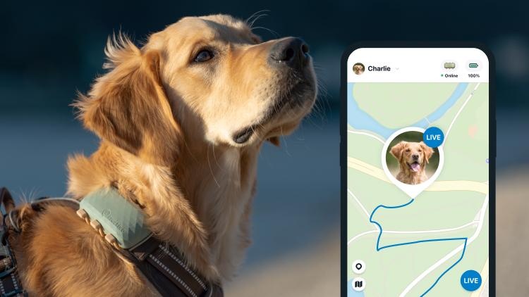 ¡Nuevo! Tractive GPS para Perros
