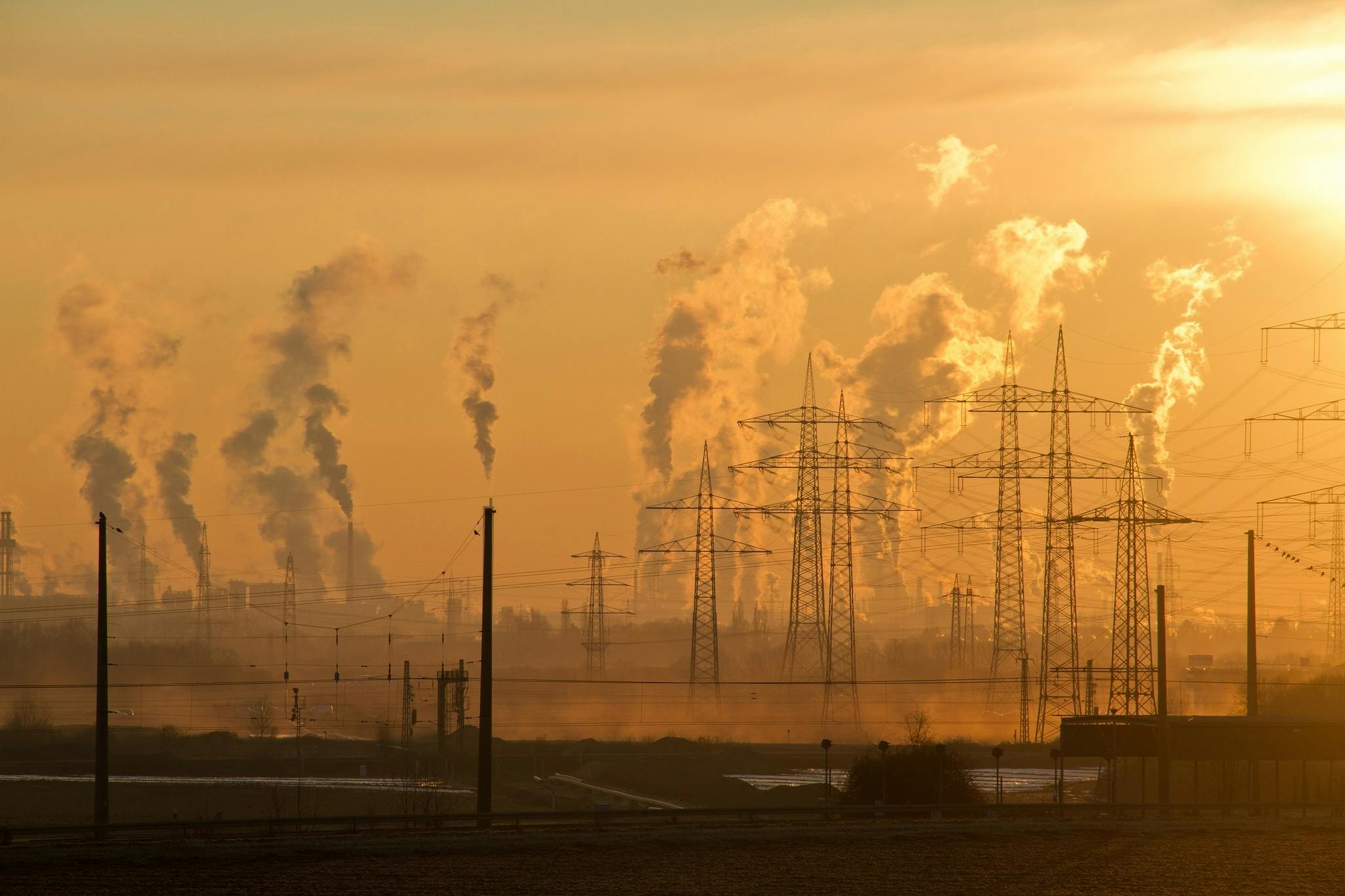 ¿Tu mascota está en peligro? Cómo protegerla del clima